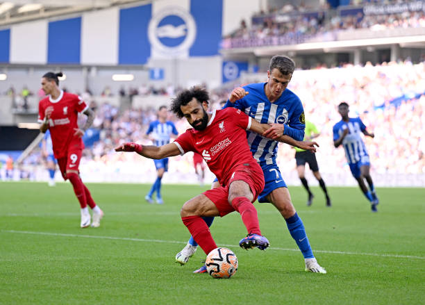 坚持与谦逊 坚持与谦逊